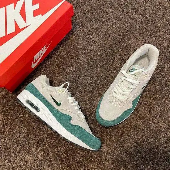 Nike Air Max Shoes