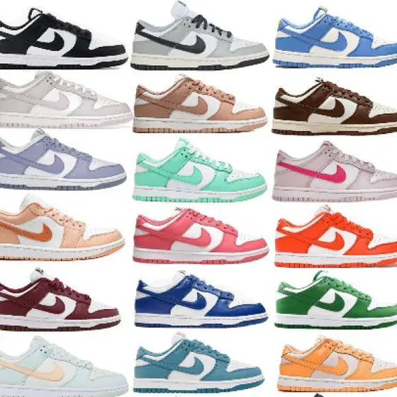 Nike Dunk Low Shoes