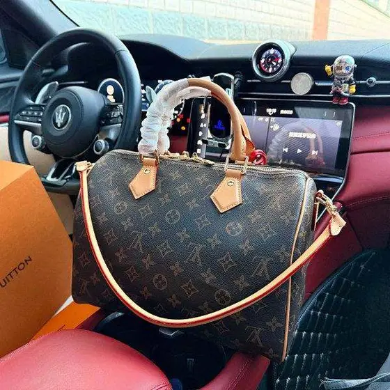 Louis Vuitton BagCrossbodyBag