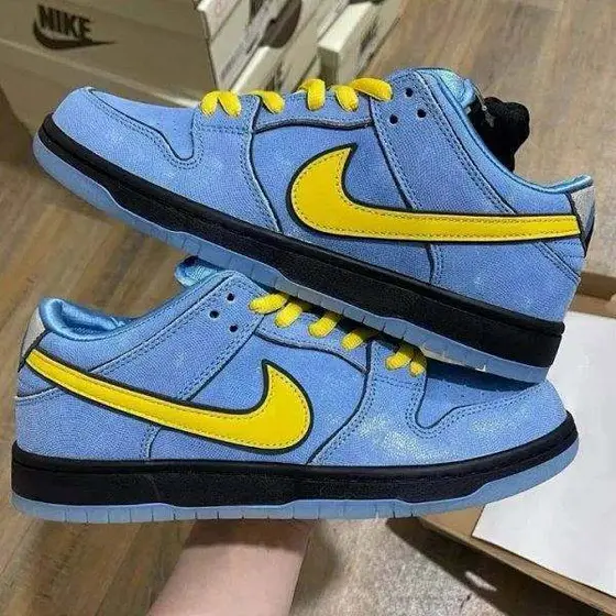 Nike Dunk Shoes
