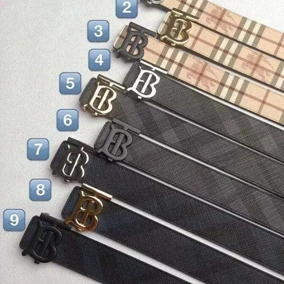 Burberry Belt