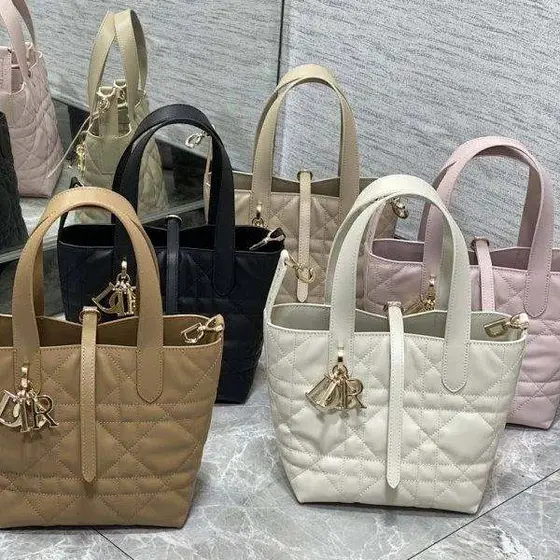 Dior Bag