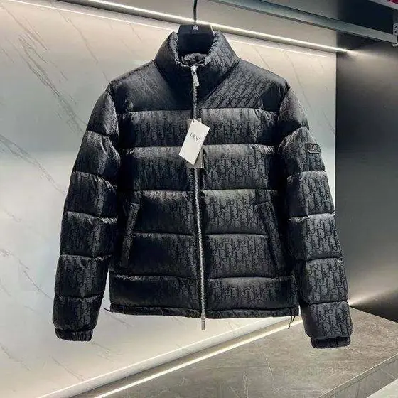 Dior Winter Fashion Stand Collar Versatile Down Jacket