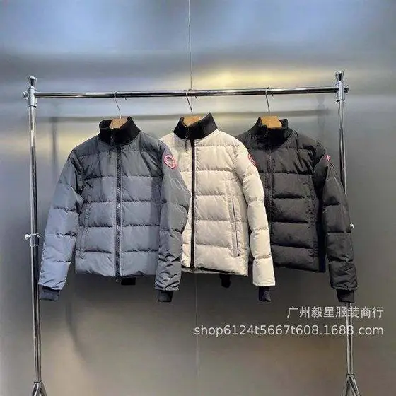 秋冬高版本男士立领羽绒服户外防风保暖