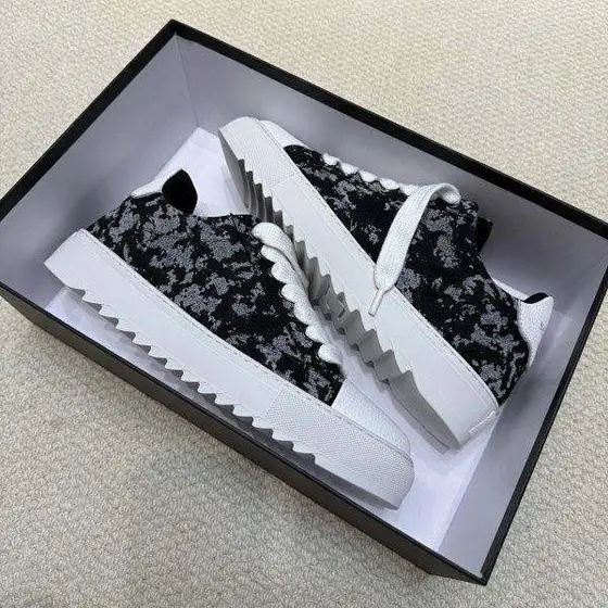 LV Trainer Shoes