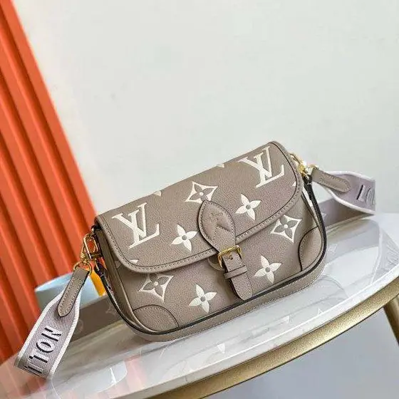Louis Vuitton Bag