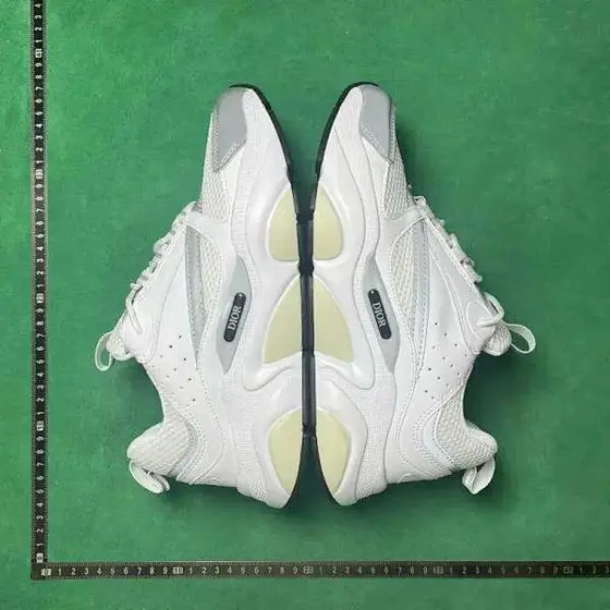 Dior b30 Casual Sneakers