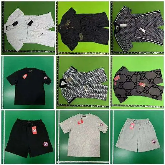 Canada Goose T-shirt Shorts
