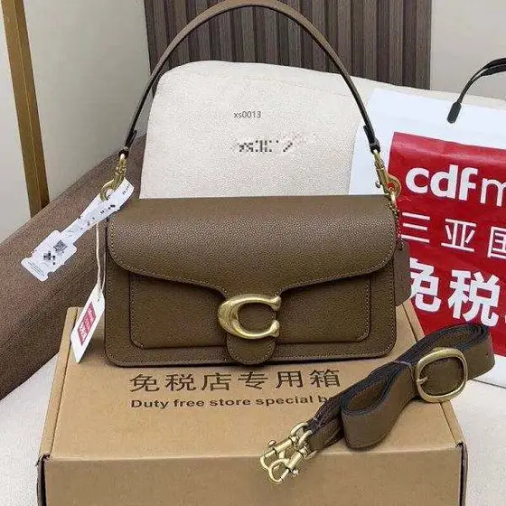 Coach 2025 new female baotou layer cowhide Dionysus bag TABBY leather small bag 