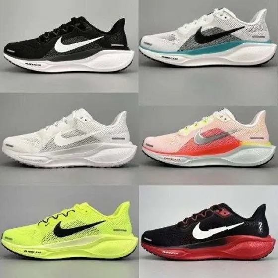 Nike Pegasus Shoes