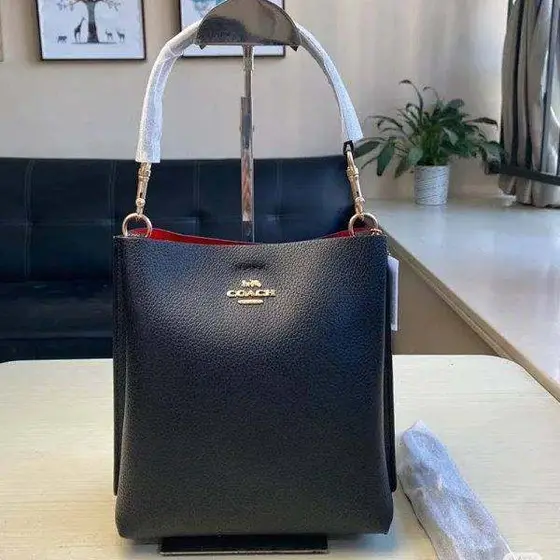 Coach Mollie Bag