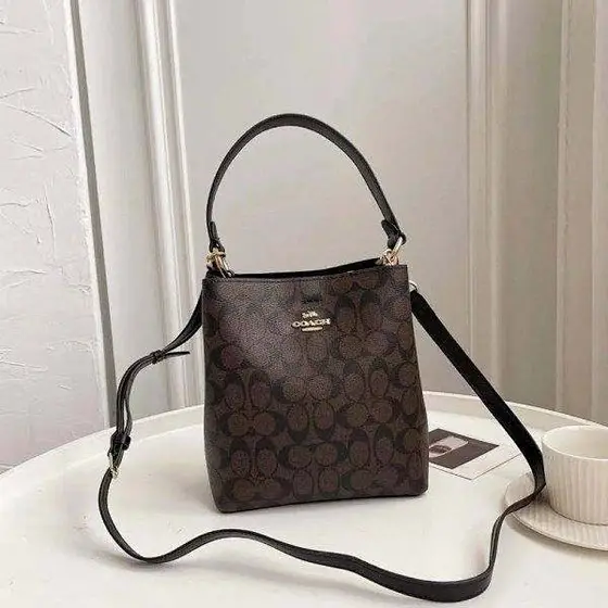 Coach Mollie Bag