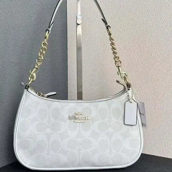 Coach Teri Bag