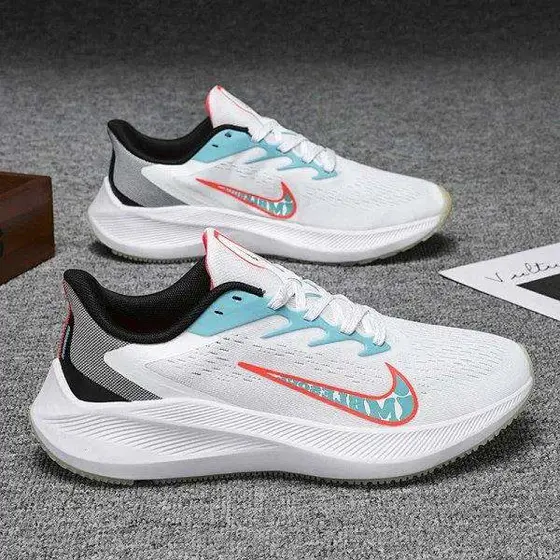 Nike Pegasus Shoes