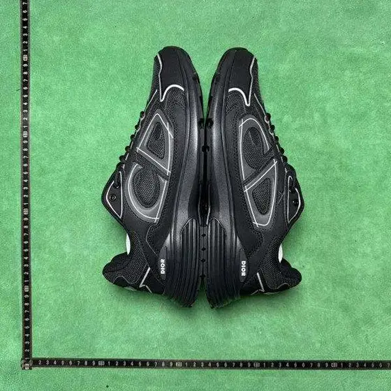 Dior B30 Shoes