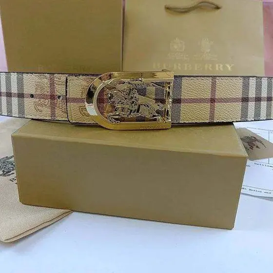 Burberry Check Belt