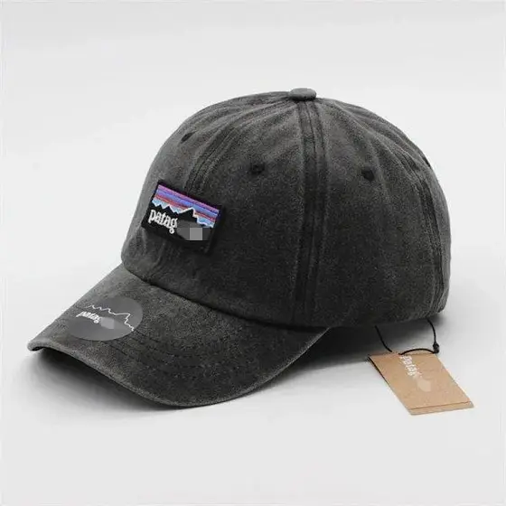Patagonia Cap