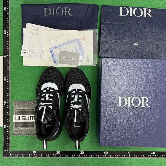 Dior B22 Shoes