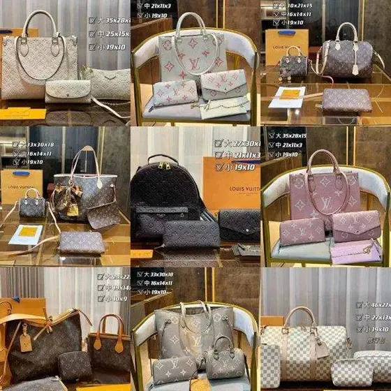 Louis Vuitton LV Bag
