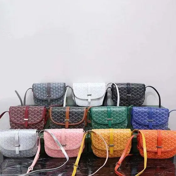 Goyard Bag