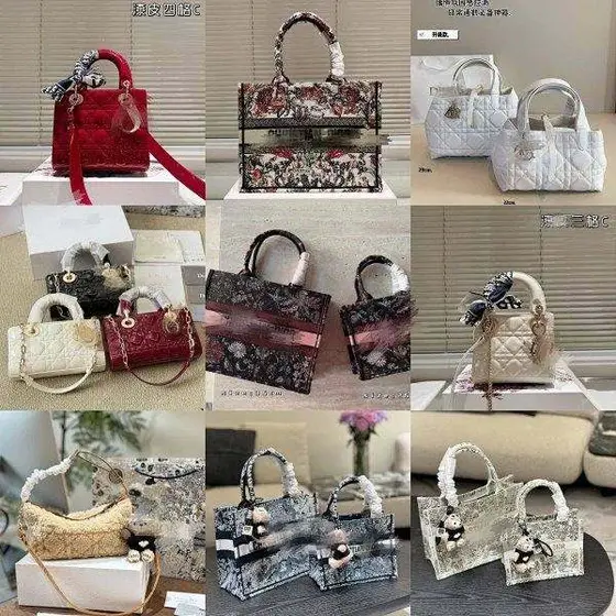 Dior Bag