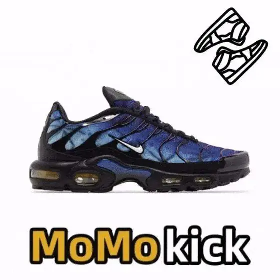 Nike Air Max Plus Shoes