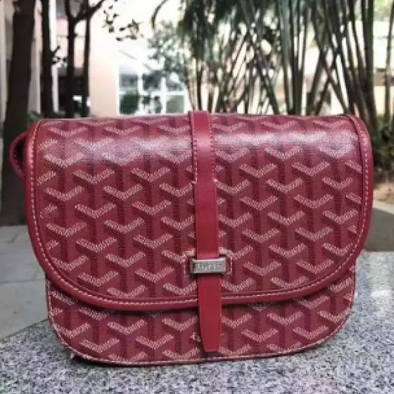 Goyard Bag