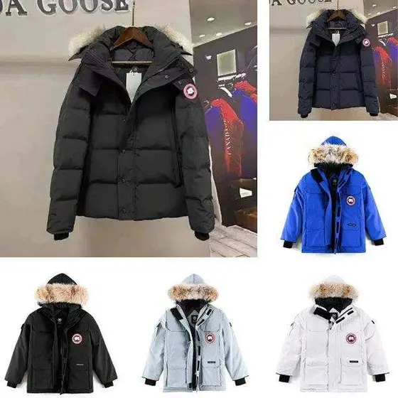 Canada Goose Down Jacket Puffer