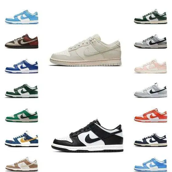 Nike Dunk Low Shoes